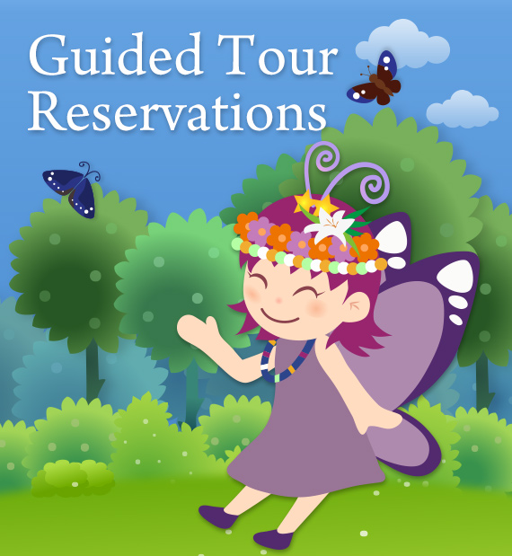 Guided Tour Reservation