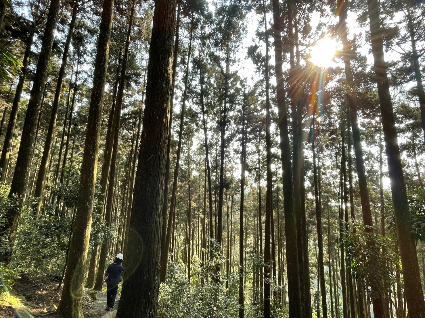 Tengjhih National Forest Recreation Area is reinaugurated on May 7 (photo courtesy: Tengjhih National Forest Recreation Area)