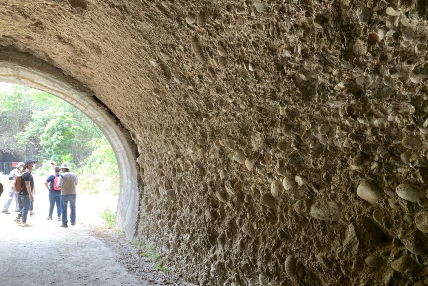 十八羅漢山古隧道 (目前因疫情暫停開放預約，但可以支持「十八羅漢山生態之旅」粉專的文創商品喔！)
