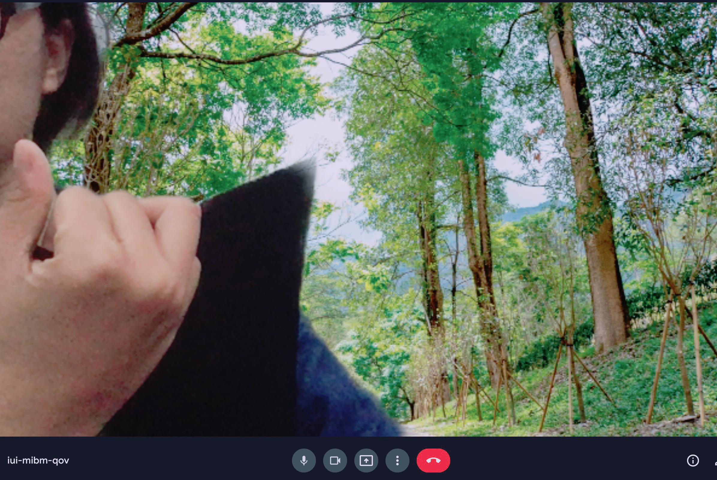 茂管處「線上遊茂林」提供景點美照，用於Google Meet線上會議，在家也能營造親近自然的氣氛。