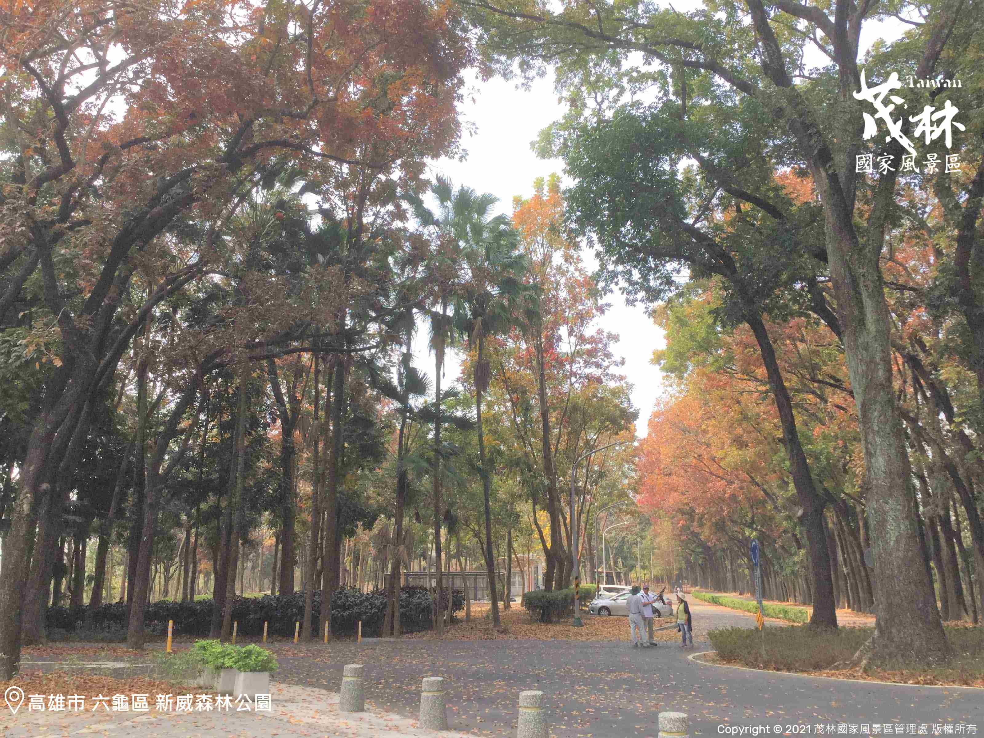 新威森林公園