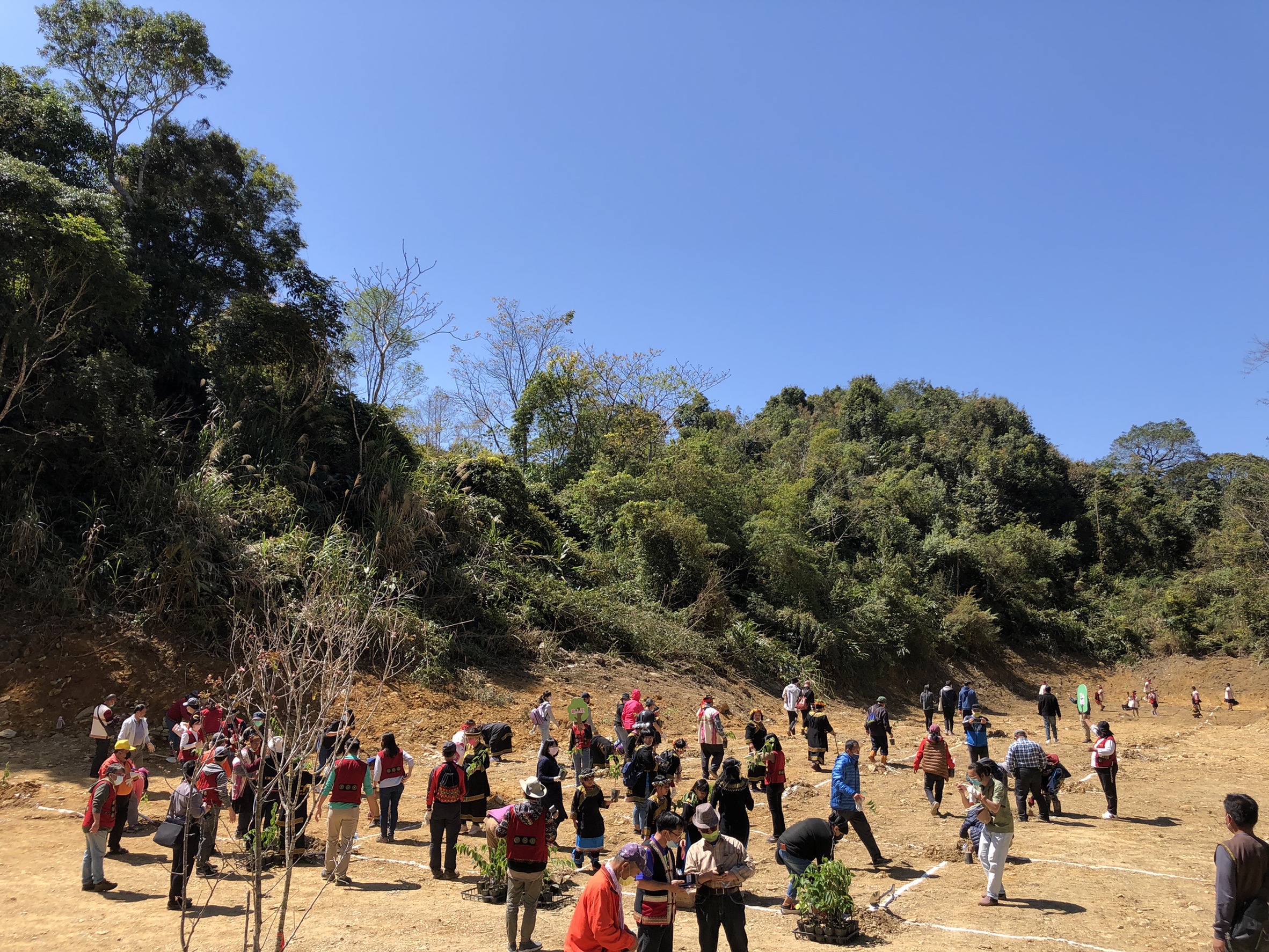 部落參與櫻花公園植樹活動。