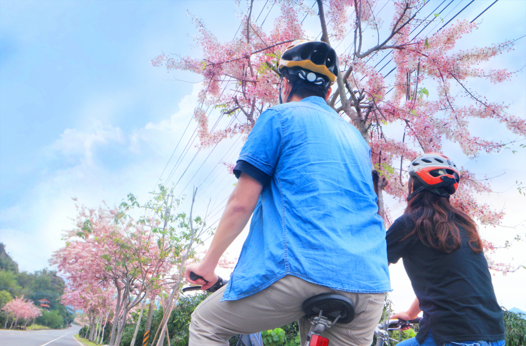 多元自行車路線「茂林─高雄山城線」行經台28、台27甲，現在正值花旗木花季。