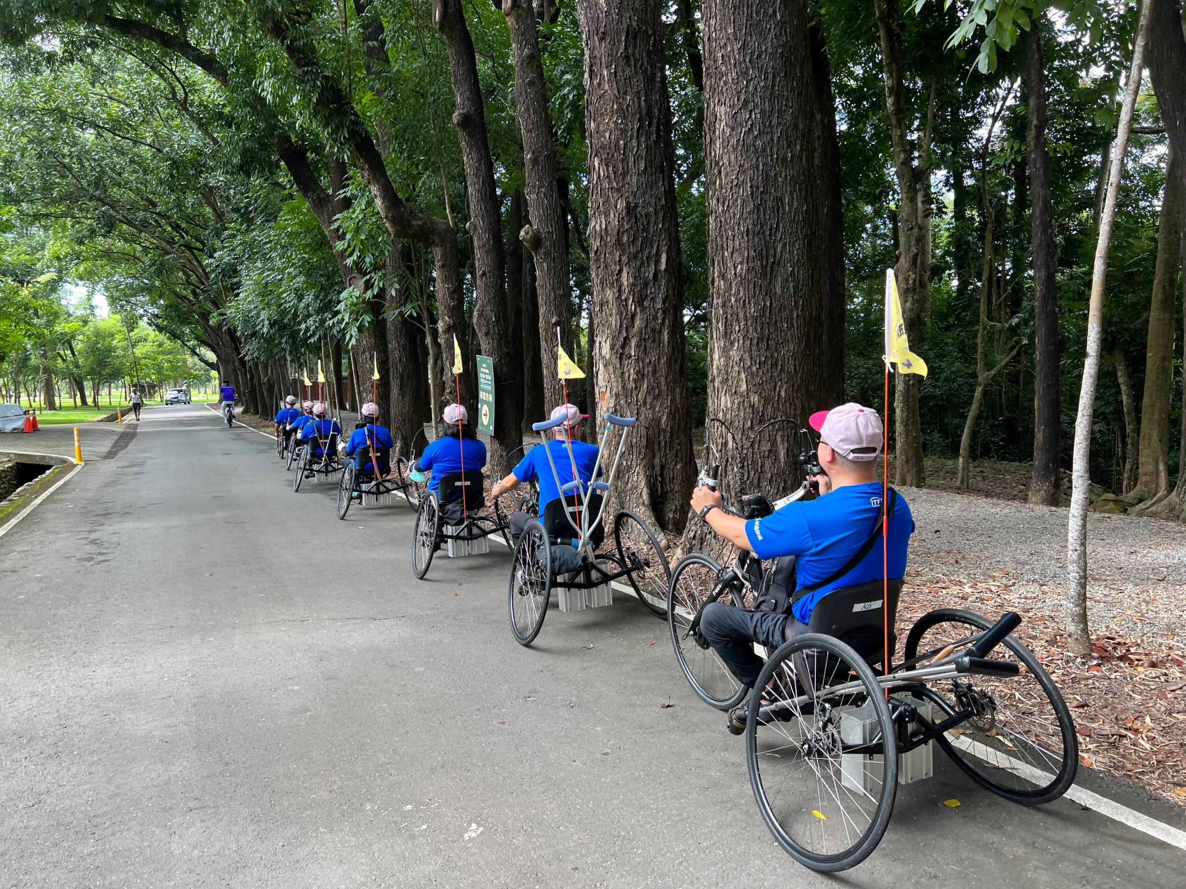 六龜新威森林公園區內道路適宜騎乘手搖車自由行。