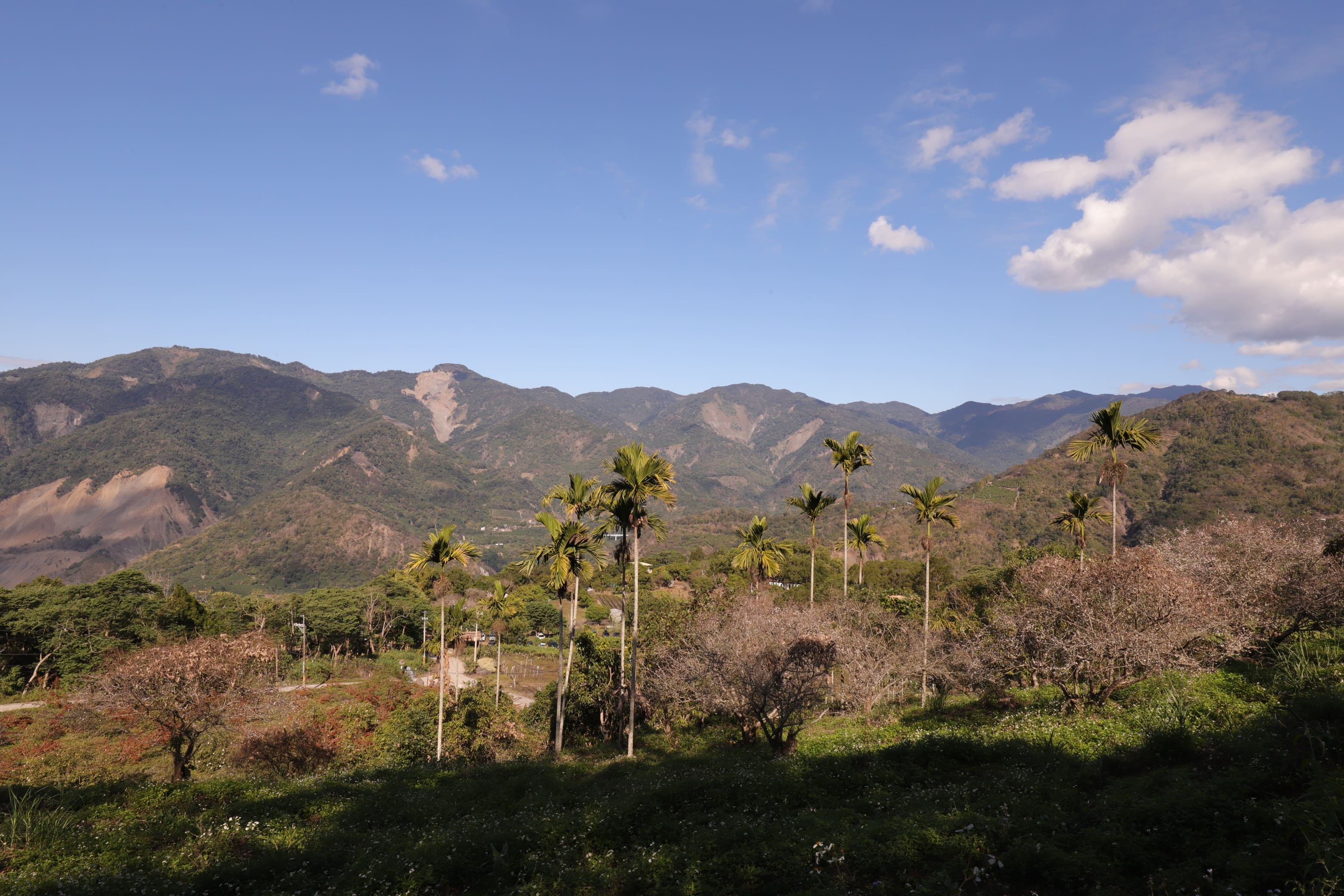 山城山景清新消暑