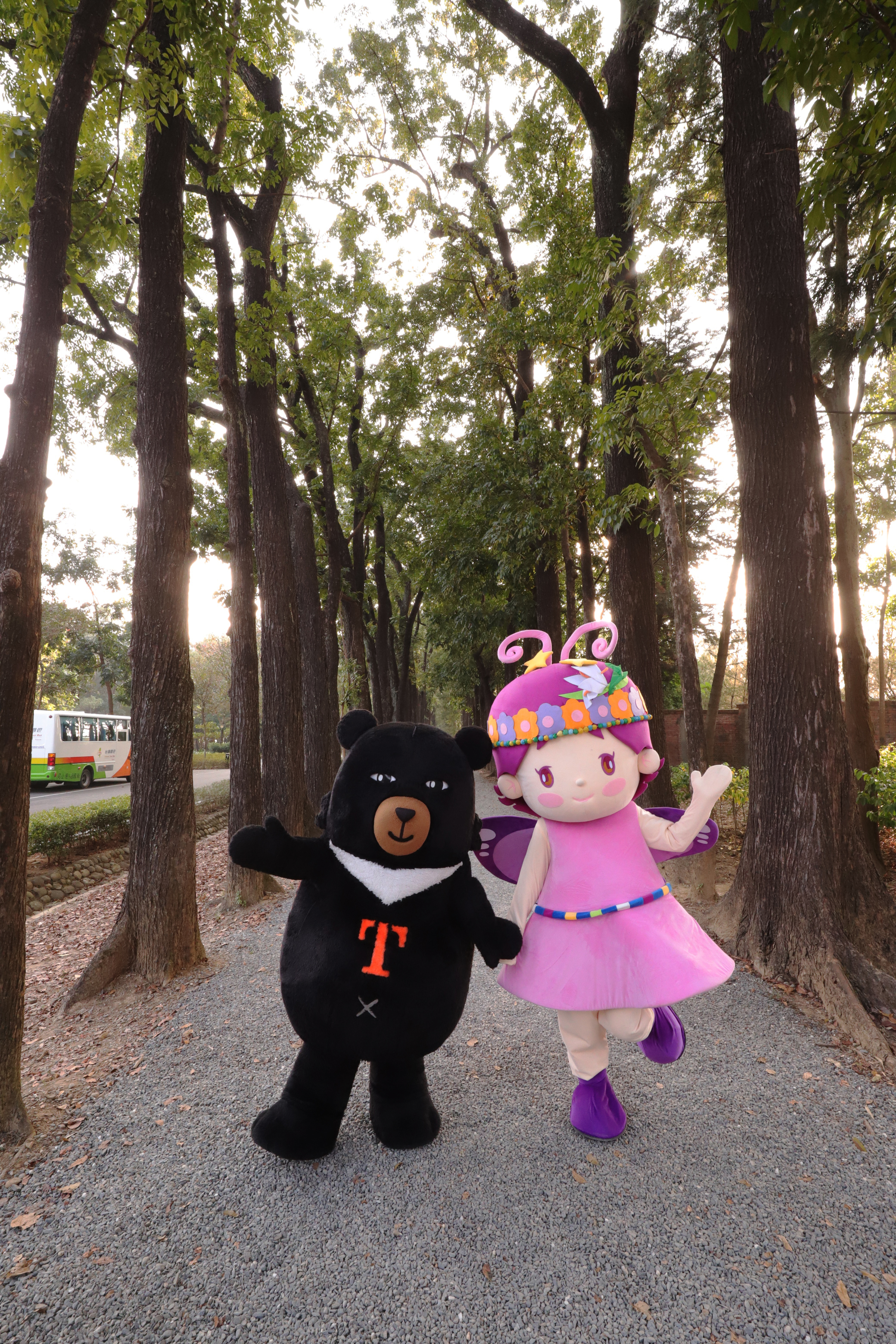 喔熊和紫紫漫步桃花心木步道