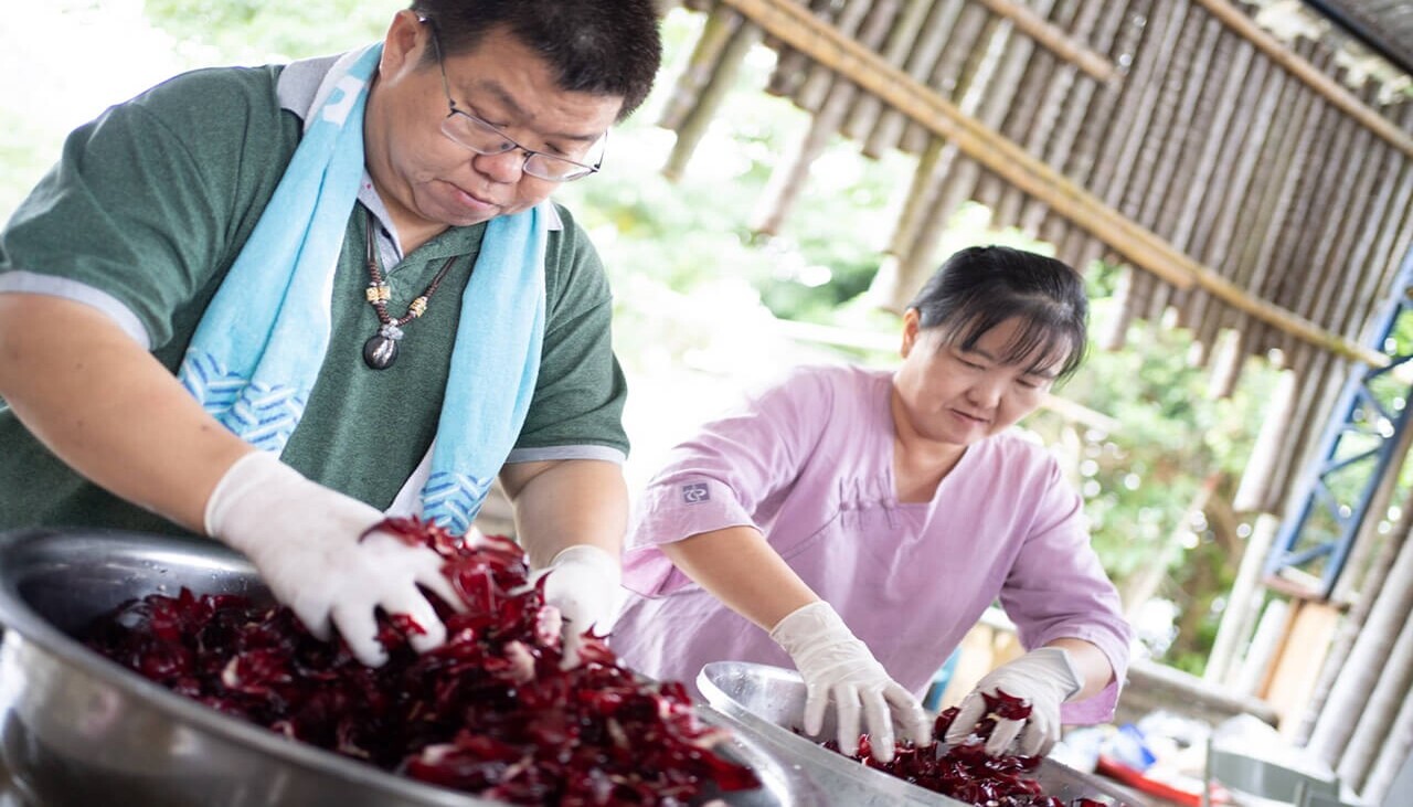 Jam Workshop – making jam with the fruit farmers