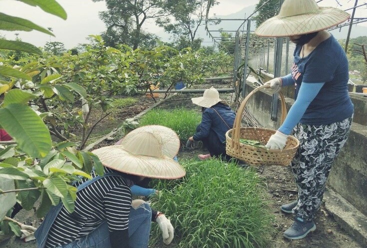 産地厨房-田んぼや畑の中の台所