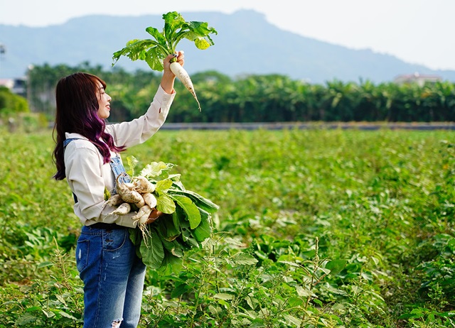 Qishan District Tangchang-agricultural harvesting experience
