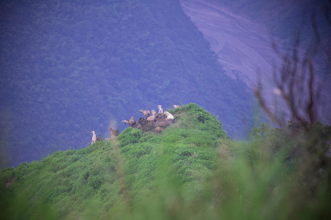三地門鄉德文觀望山