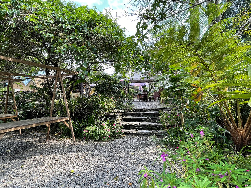 公園旁市集區