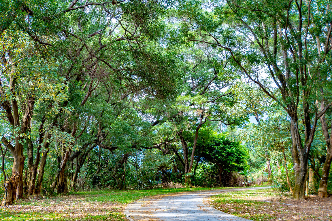 Lina Village Hiking Trail