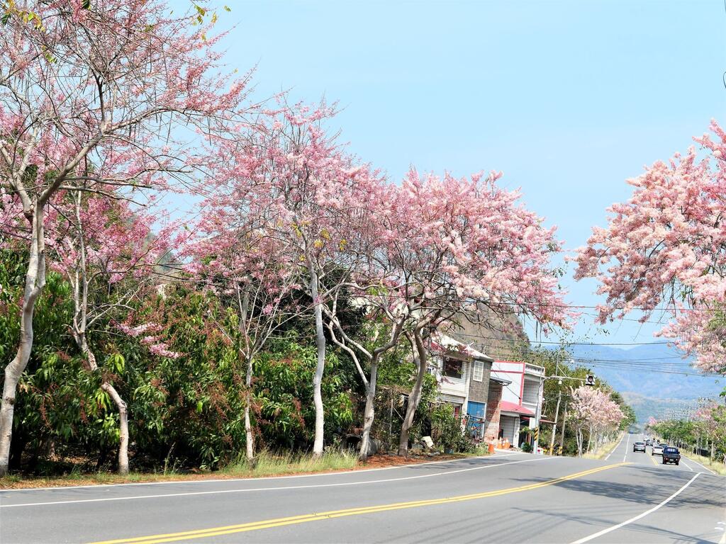 2024ツール・ド・台湾 コースの美しい景観を楽しもう！