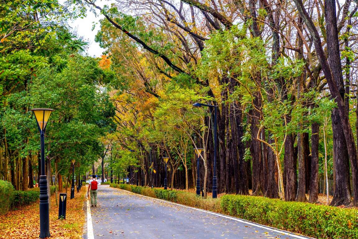 新威森林公園