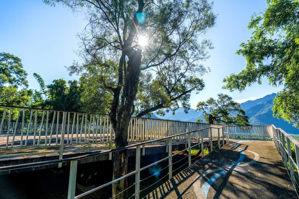 新威森林公園坡道