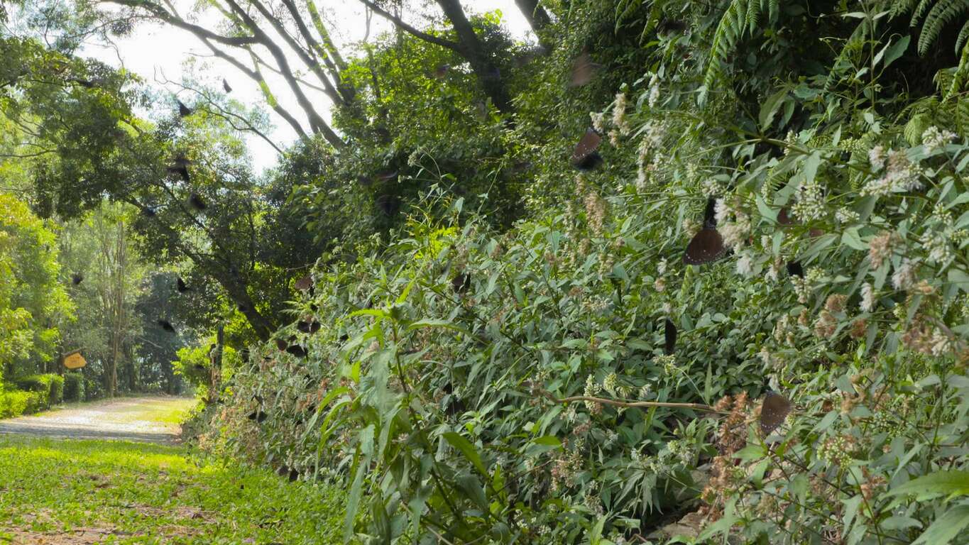 登山ハイキングの旅二日コース A