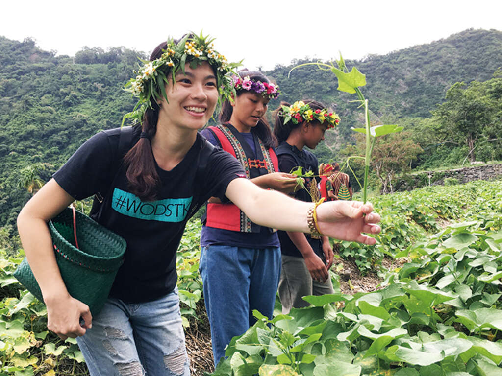 認識部落常用的植物及瞭解其文化