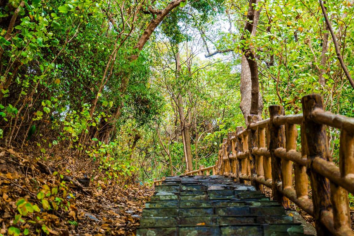 Maolin Eco Park (The Hidden Valley of Purple Crow 