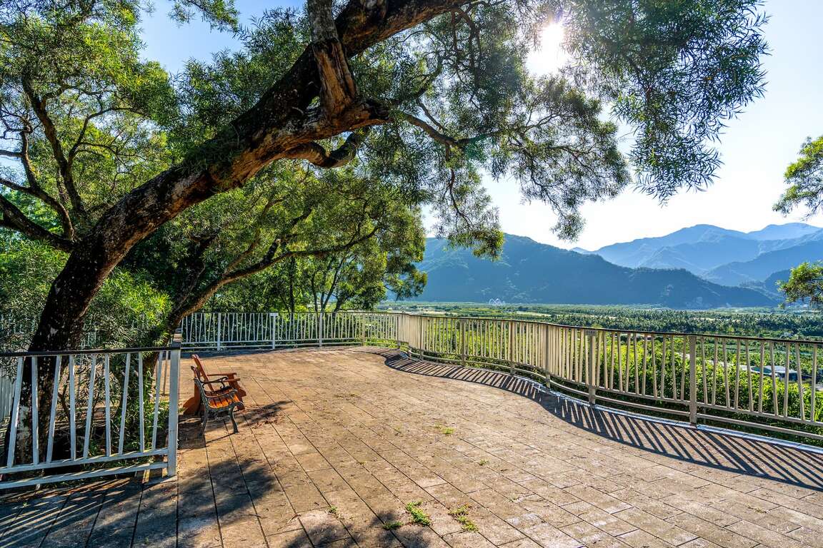 Xinwei Forest Park 