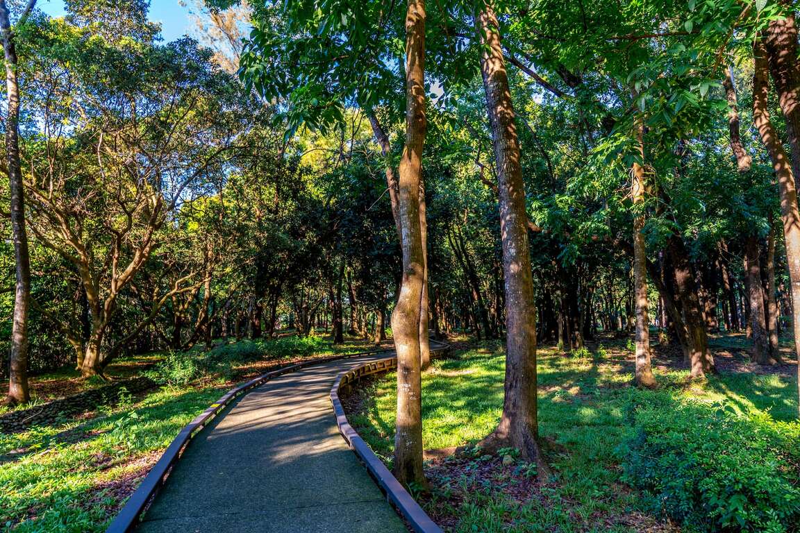 Xinwei Forest Park 