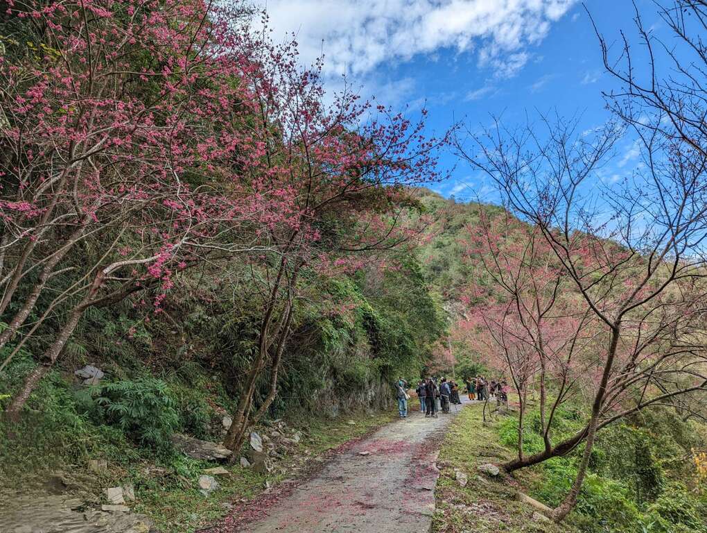 Wutai Scenic Area