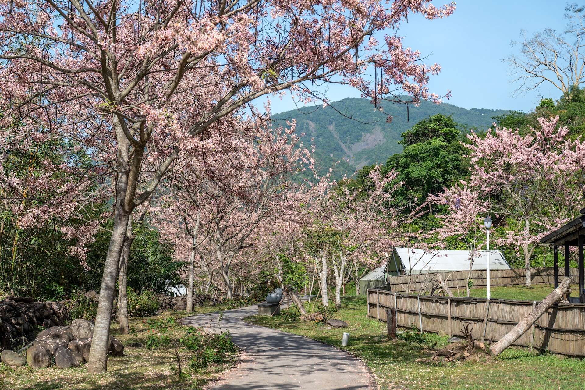宝来花賞温泉公園