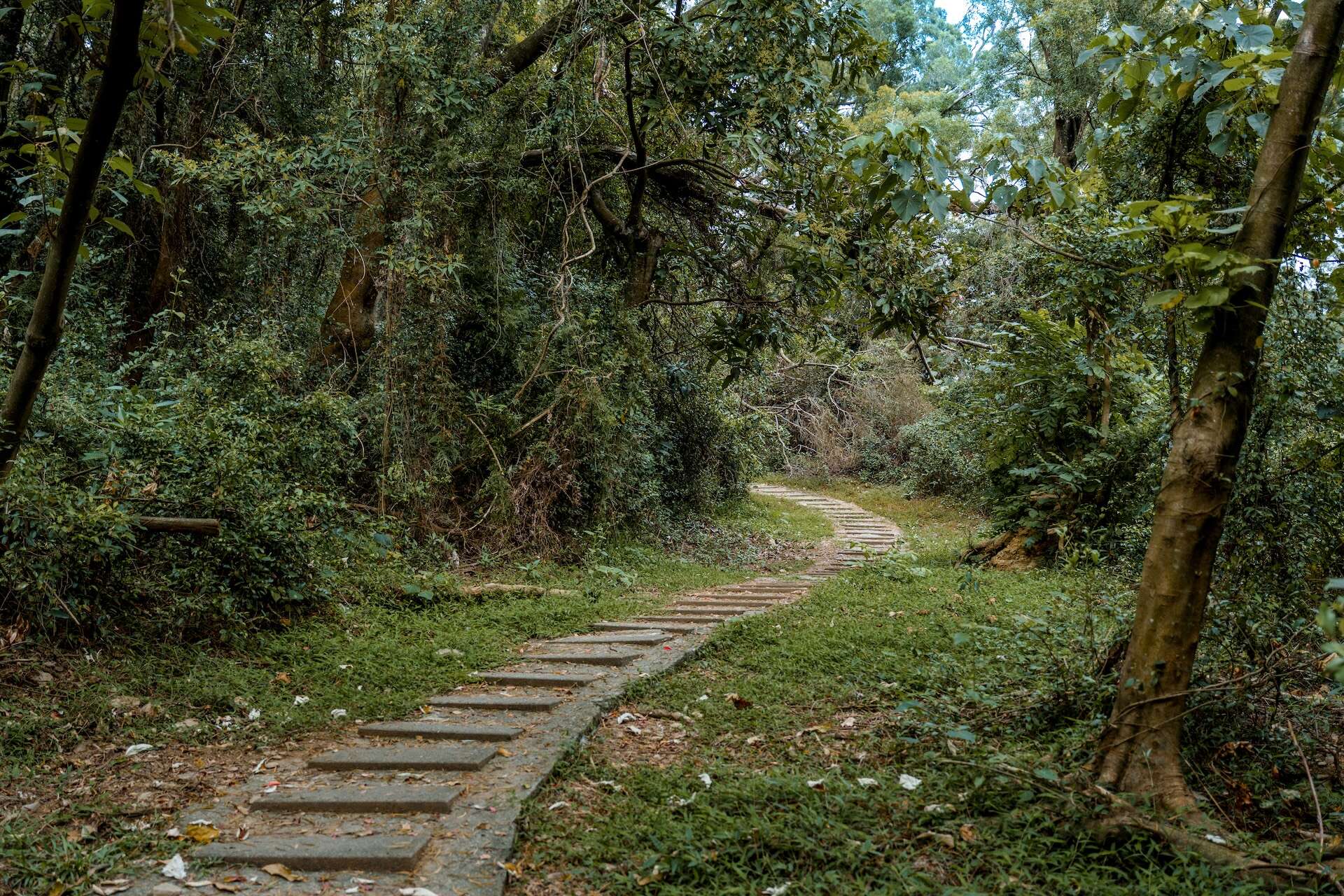 Zishalishali Trail