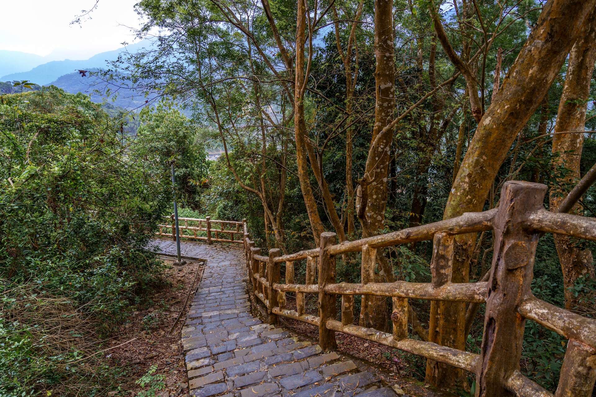 Zishalishali Trail