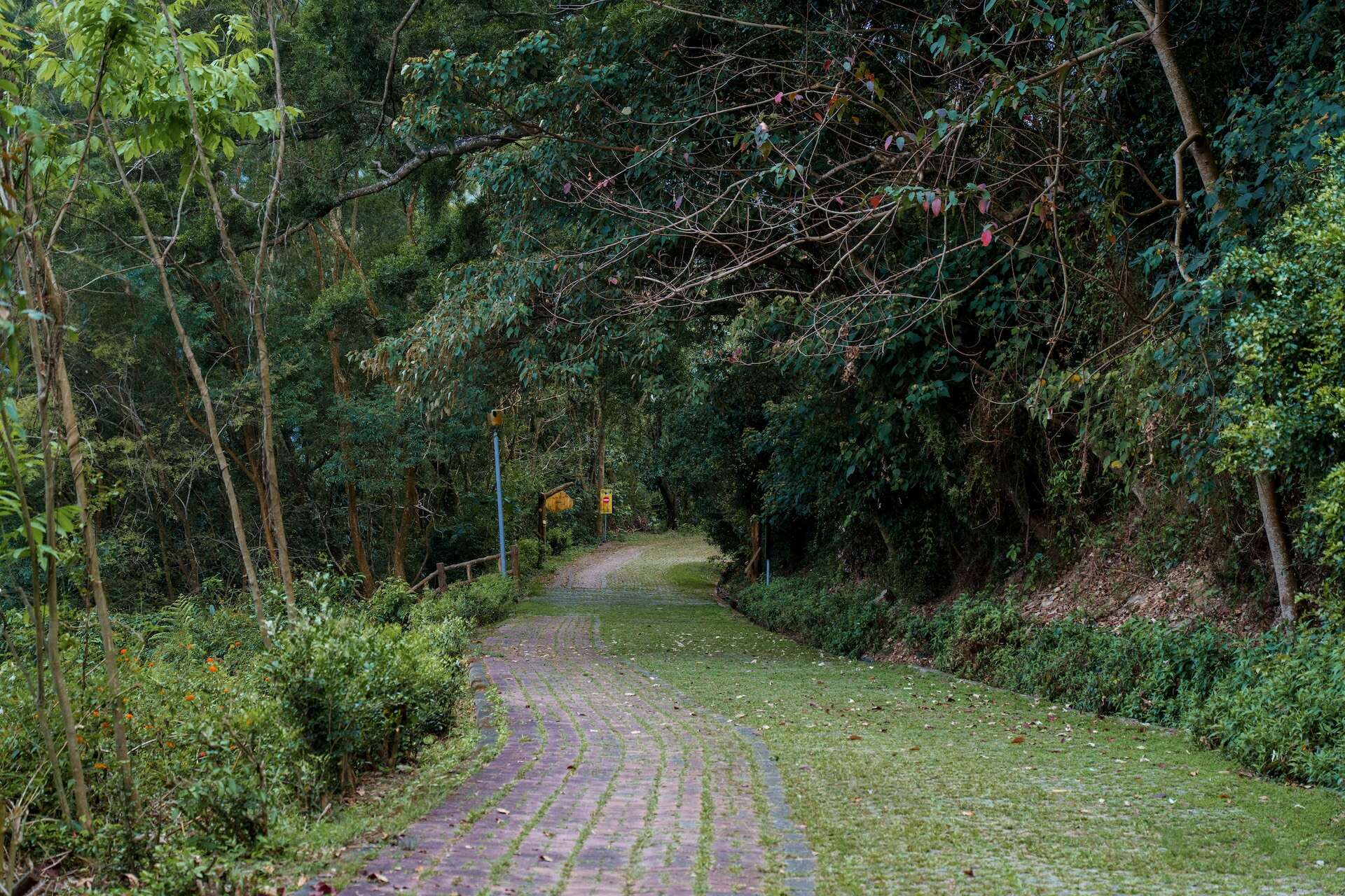 쯔사리사리 산책로 (姿沙里沙里步道)