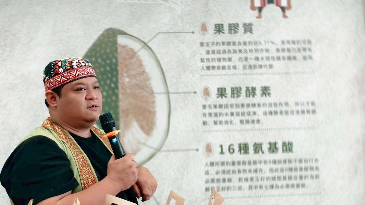 復興漢愛玉解說遊程介紹