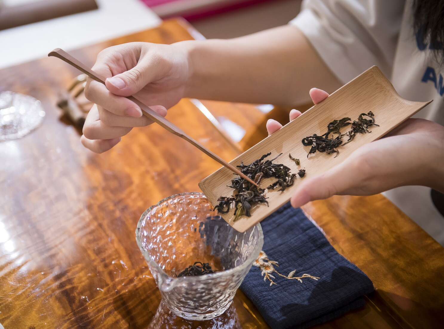 品茗六龜原生山茶