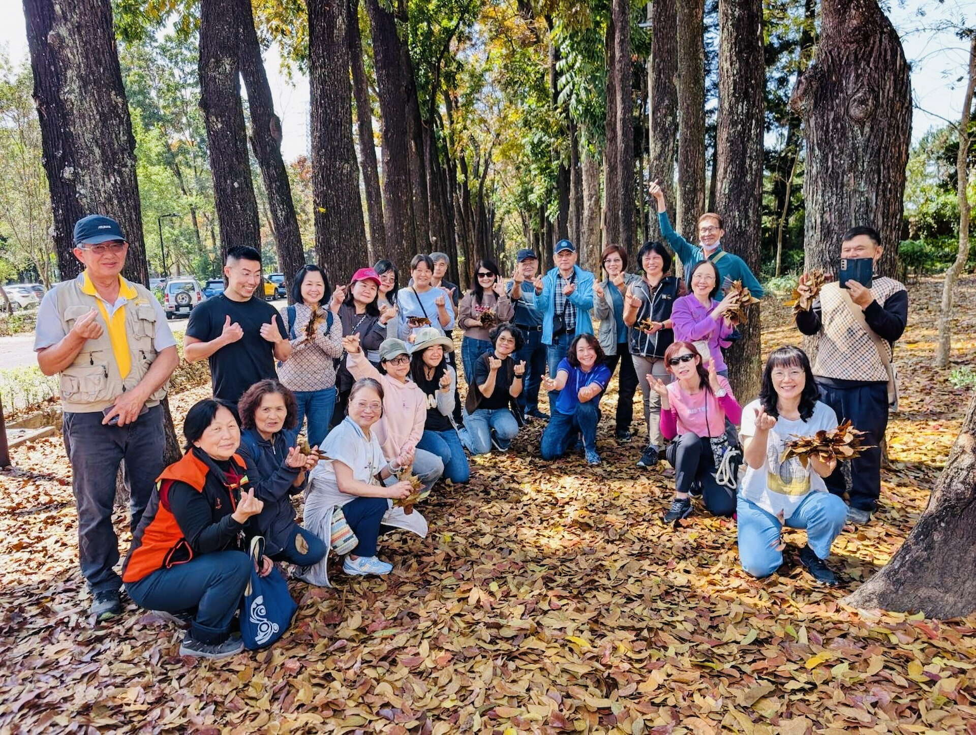 大葉桃花心木新葉再起，茂管處志工新血加入，擴大茂管處服務量能
