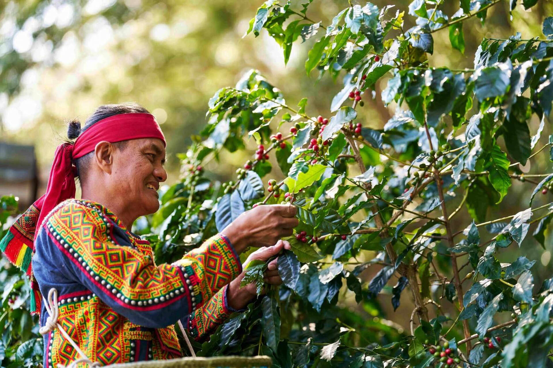 「高屏食當地體驗」-霧台鄉神山部落「巴魯那咖啡」帶領民眾進行手沖咖啡體驗