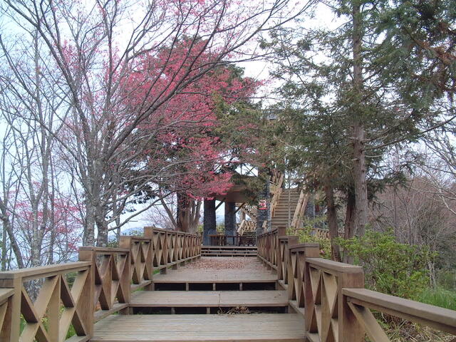 藤枝國家森林遊樂區