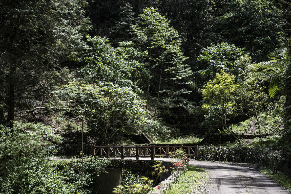 藤枝 藤枝國家森林遊樂區-茂林國家風景區管理處