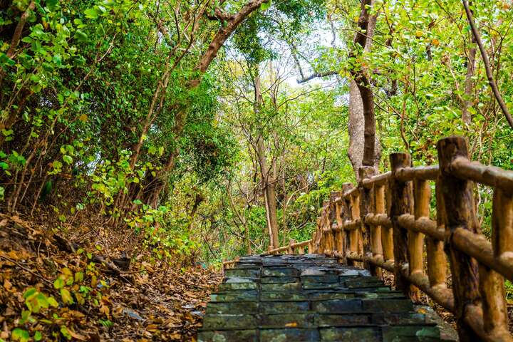 茂林紫蝶生態公園（紫蝶幽谷）