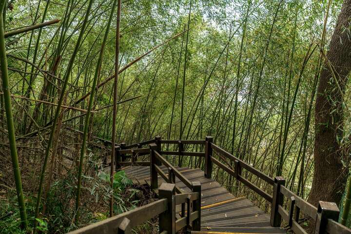 浦來溪頭社戰道