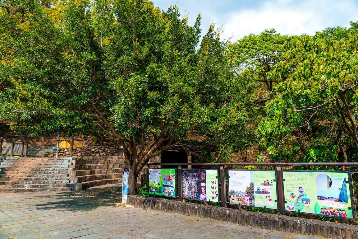 紫斑蝶生態公園