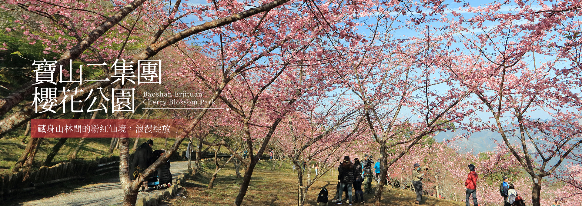 櫻花公園電腦