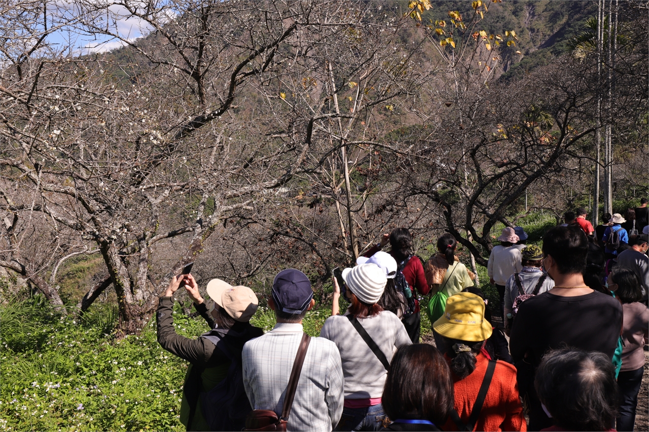 Fetrip of Whispering Flowers in the Mountains-1