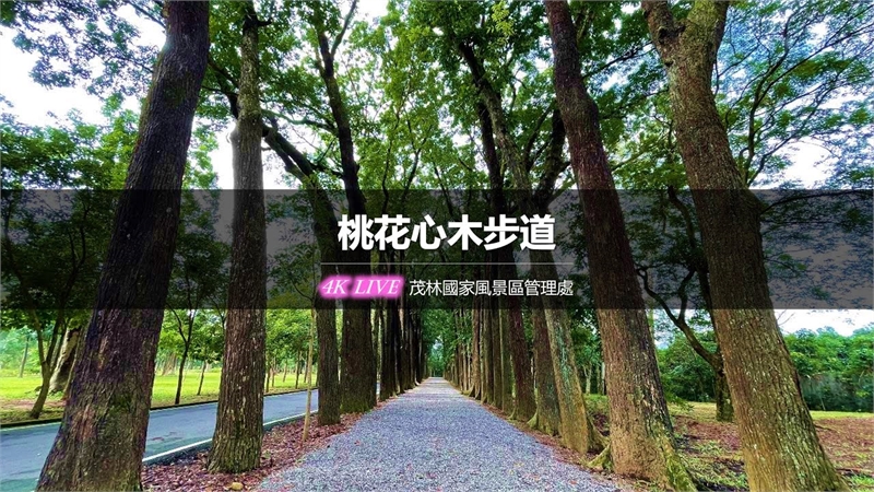 新威森林公園