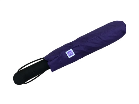 紫蝶折傘