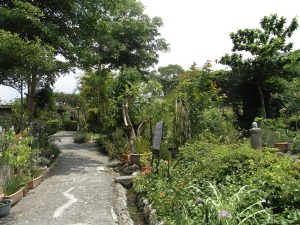 Mu Sen Lin Vanilla Garden-2
