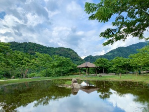 Corner of Baolai Flower Park