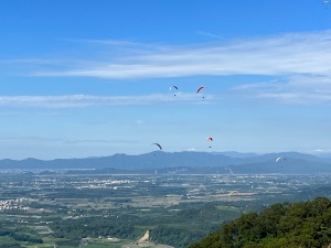 Paraglider shimmying in the wind