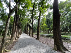 Ｘinwei Forest Park -2