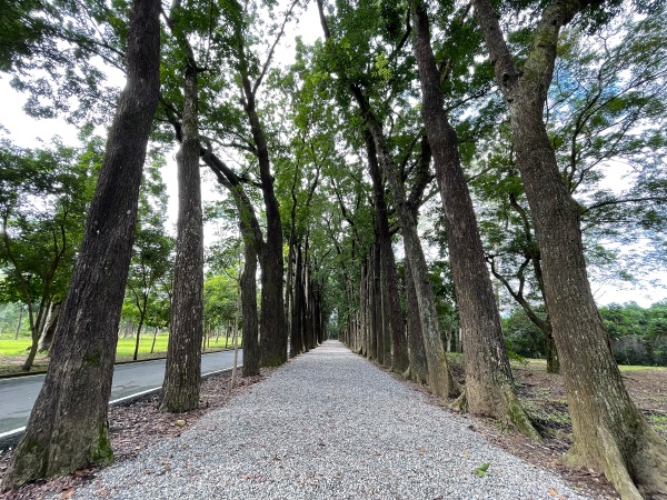 Ｘinwei Forest Park 