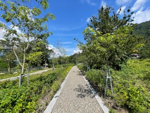 Bulao Trail-3