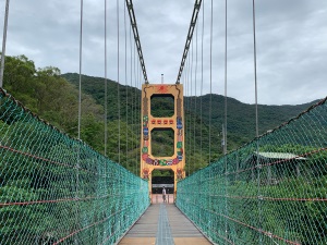 Duona High Suspension Bridge-4