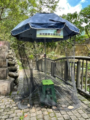 茂林紫斑蝶生態公園標放解說站